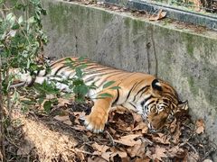 -上海动物园(地铁站)