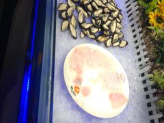 -巴犀烧烤(新崇光店)