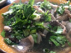-小杨翘脚牛肉