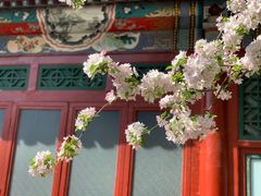 -海棠花溪(元大都城垣遗址公园)