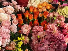 -植物学家的女儿(北马道巷店)