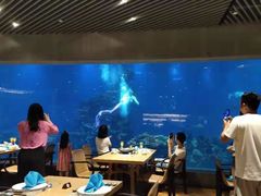 -海棠湾洲际-涛·海底餐厅·美人鱼·自助餐·海底隧道