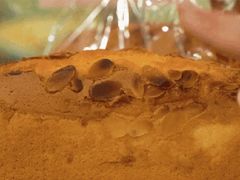 -阿殳咖啡(水围村店)