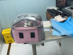 -纳吉亚猫专科动物诊疗中心(蒋宅口分院)