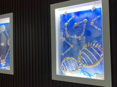 -贝壳王国博物馆