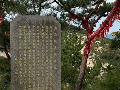 -九龙池景区