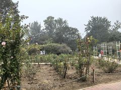 -国家植物园南园