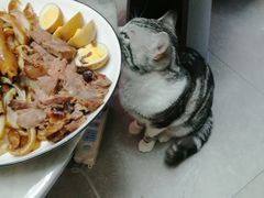 -唯壹卤味(上新街店)