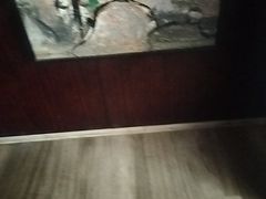 -阳光海鲜城(太仓万达店)