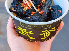 -武爹臭豆腐(坡子街店)