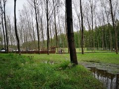 -黄海国家森林公园