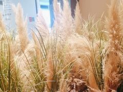 -晓宇重庆火锅(西安荟聚店)
