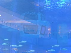 -成都浩海立方海洋公园