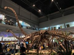 -自贡恐龙博物馆