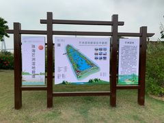 -芒洲湿地公园
