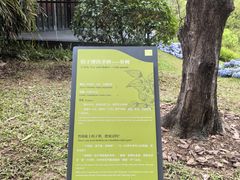 -云溪植物园