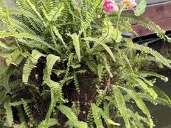 -大妙火锅·非物质文化遗产(东湖公园店)