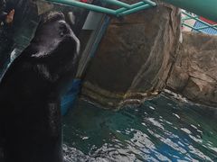 -海合安武汉极地海洋公园