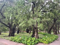-北京市劳动人民文化宫(太庙)