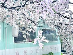 -Blue Concept Cafe&Farm·關於藍