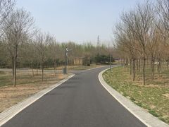 -东郊湿地公园