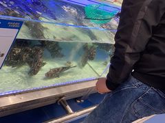 -盒马X会员店(上海森兰商都店)