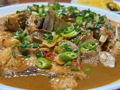 -全乐鱼馆·淳牌有机鱼直营店
