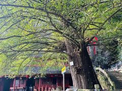 -大慈岩风景区
