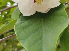 -大连冰峪旅游度假区