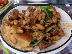 -陶缘一号·四季缘·老字号顺德菜·户外婚礼家宴(西滘店)