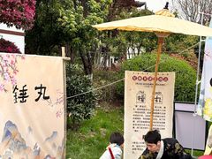 -武汉园博园(武汉自然博物馆)