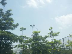 -飞来湖湿地公园