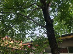 -十三陵山水雅园农家院