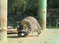 -秦皇岛野生动物园