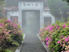 -江西阳明山国家森林公园