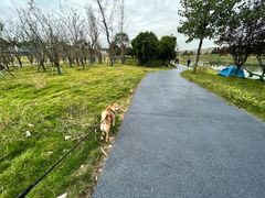 -两河城市森林公园