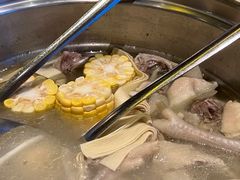 -润园四季椰子鸡火锅(海上世界店)