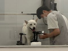 -comecome来吧宠物(奥克斯中心店)