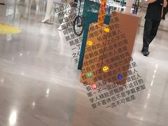 -约翰·菲茨杰拉德·肯尼迪国际机场