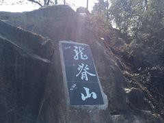-伴山茶苑·一盏冰茶·半日山居