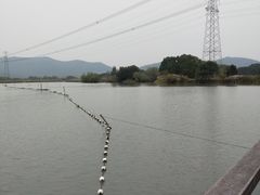 -长田漾湿地公园