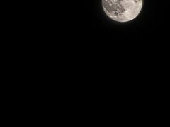 -兴城海滨风景区