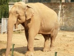 -石家庄市动物园