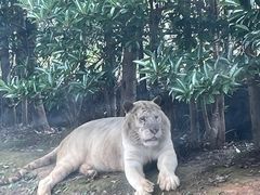 -乐和乐都主题乐园