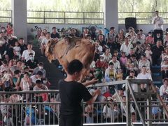 -石家庄市动物园