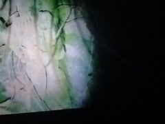 -韵秋荷(宝山龙湖天街店)