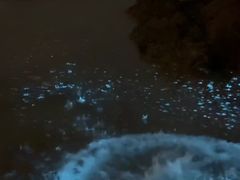 -日照灯塔风景区