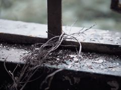 -济南轻骑摩托车有限公司(和平路)