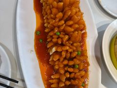 -刘胖子家常菜·蹄花焖藕(中南店)