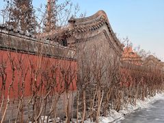 -故宫博物院(故宫)